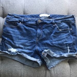 Plus Size Torrid Jean Shorts